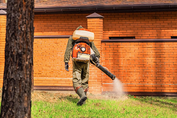 Trusted Ant Control service in Zillah, WA - Nex Pest Control